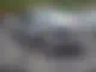 Vehicle Image- 2004 Chevrolet Silverado