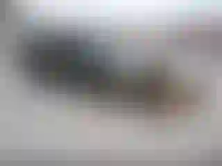 Vehicle Image- 2002 Chevrolet Silverado