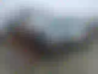Vehicle Image- 2002 Chevrolet Silverado