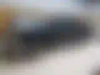 Vehicle Image- 2004 Chevrolet Silverado