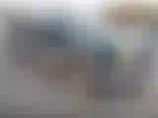 Vehicle Image- 2004 Chevrolet Silverado