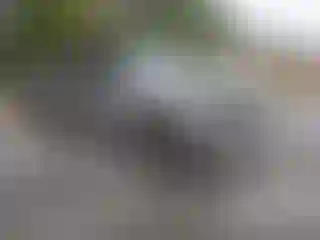 Vehicle Image- 2000 Chevrolet Silverado