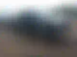 Vehicle Image- 2002 Chevrolet Silverado