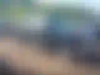 Vehicle Image- 2003 Chevrolet Silverado