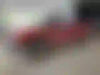 Vehicle Image- 2004 Chevrolet Silverado