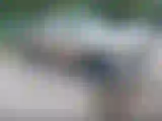 Vehicle Image- 2004 Chevrolet Silverado