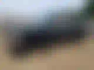 Vehicle Image- 2000 Chevrolet Silverado