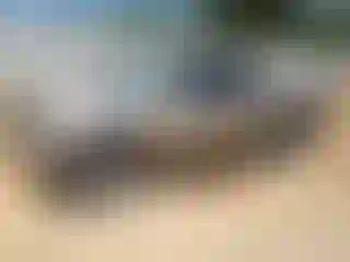 Vehicle Image- 2002 Chevrolet Silverado