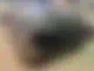 Vehicle Image- 2004 Chevrolet Silverado