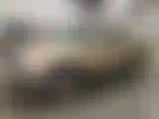 Vehicle Image- 2000 Chevrolet Silverado