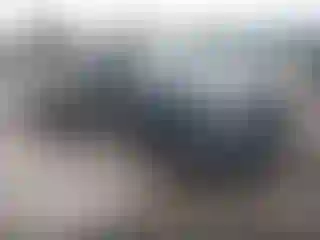 Vehicle Image- 2004 Chevrolet Silverado