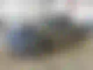 Vehicle Image- 2002 Chevrolet Silverado