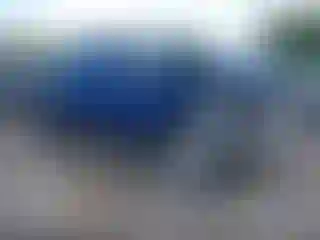 Vehicle Image- 2004 Chevrolet Silverado