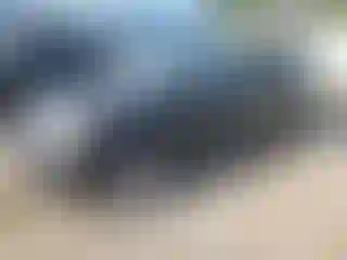 Vehicle Image- 2016 GMC Terrain