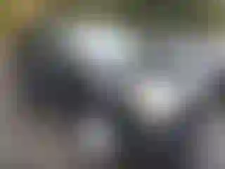 Vehicle Image- 2017 GMC Terrain