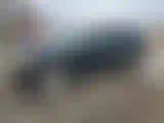 Vehicle Image- 2012 GMC Terrain