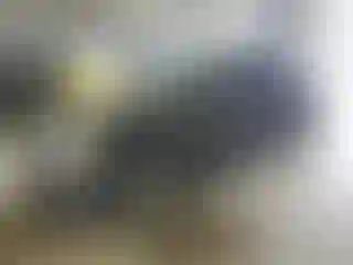 Vehicle Image- 2014 GMC Terrain