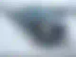 Vehicle Image- 2014 GMC Terrain
