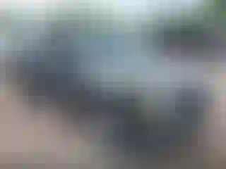 Vehicle Image- 2013 GMC Terrain