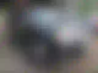 Vehicle Image- 2014 GMC Terrain