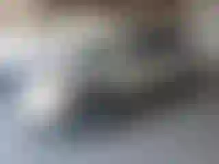 Vehicle Image- 2012 GMC Terrain