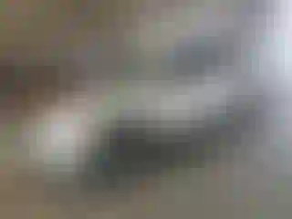 Vehicle Image- 2016 GMC Terrain