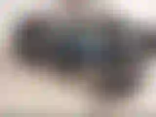 Vehicle Image- 2016 GMC Terrain