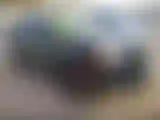 Vehicle Image- 2017 GMC Terrain