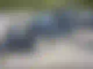 IMPORTOWO.pl