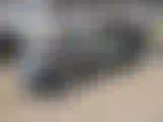 Vehicle Image- 2017 GMC Terrain