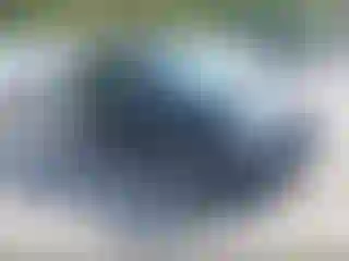 Vehicle Image- 2015 GMC Terrain