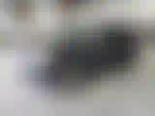 Vehicle Image- 2013 GMC Terrain