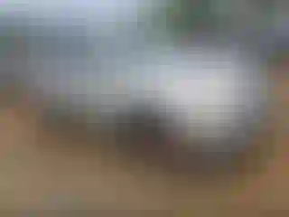 Vehicle Image- 2015 Chevrolet Equinox