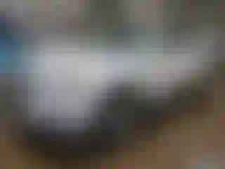 Vehicle Image- 2013 Chevrolet Equinox