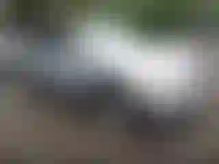 Vehicle Image- 2012 Chevrolet Equinox