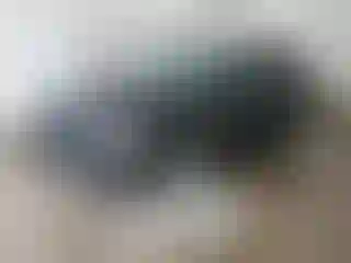 Vehicle Image- 2020 Chevrolet Equinox