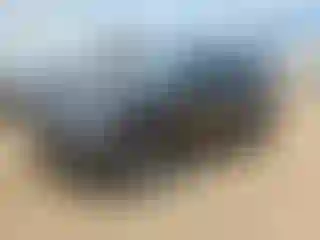 Vehicle Image- 2020 Chevrolet Equinox