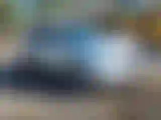 Vehicle Image- 2019 Chevrolet Equinox