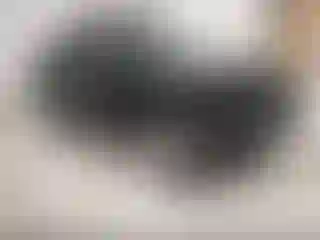 Vehicle Image- 2022 Chevrolet Equinox
