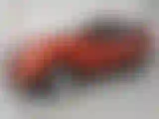 Vehicle Image- 2020 Chevrolet Equinox