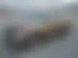 Vehicle Image- 2019 Chevrolet Equinox