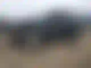 Vehicle Image- 2021 Chevrolet Equinox