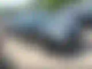 Vehicle Image- 2013 Chevrolet Equinox