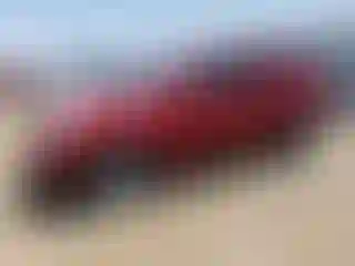 Vehicle Image- 2013 Chevrolet Equinox