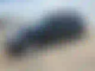 Vehicle Image- 2013 Chevrolet Equinox