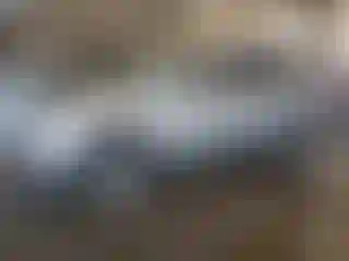 Vehicle Image- 2013 Chevrolet Equinox