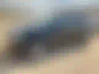 Vehicle Image- 2014 Chevrolet Equinox
