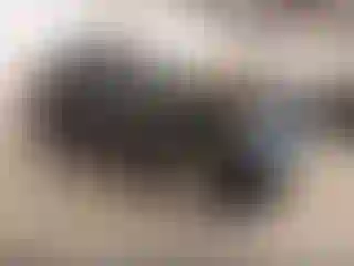 Vehicle Image- 2013 Chevrolet Equinox