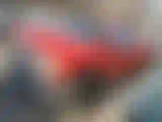 Vehicle Image- 2019 GMC Sierra