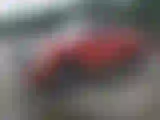Vehicle Image- 2006 GMC Sierra